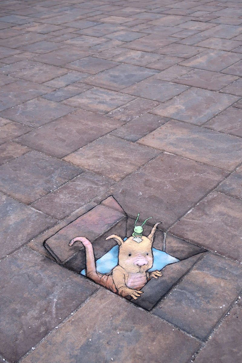 The traditional First-of-June airing out of the Underbeneath #streetart #chalkart #anamorphic #skyhole #dogdragon #cricketmanager