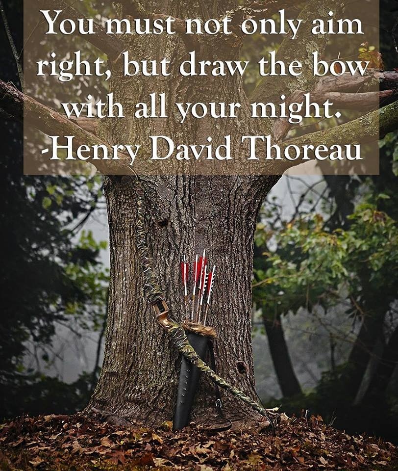 #Hunter #hunting #deer #huntington