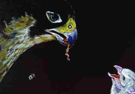WakeExpress's tweet photo. @WfldPeregrines chicks are now works of art thanks to @HoshiDee 
#Wakefield
 https://t.co/sLUF0ayLch https://t.co/h0WOfGkXLf