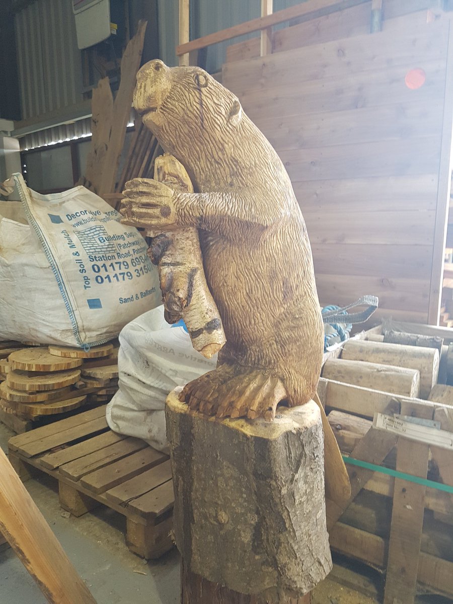 simongreenplay's tweet photo. Beavers are a keystone species, they create wetland  habitat for other animals #education #biodivercity #woodcarving https://t.co/Bsk0RD6HTh
