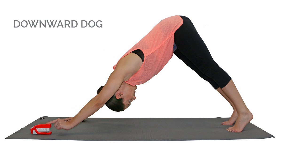 PaperproUS's tweet photo. It's June - that means a new #YogaPoseoftheMonth! Learn more about the benefits of Downward Dog here: https://t.co/ftBWBGQzD9 https://t.co/Nck8x78Mez