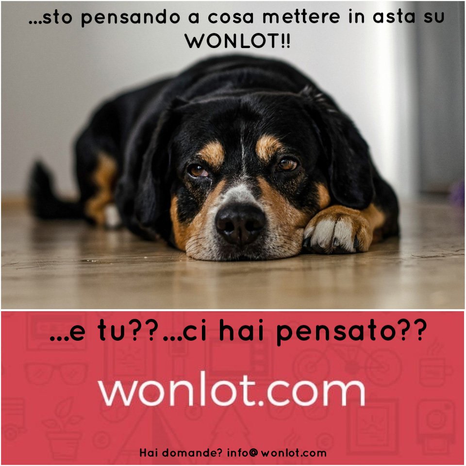 wonlot tweet picture