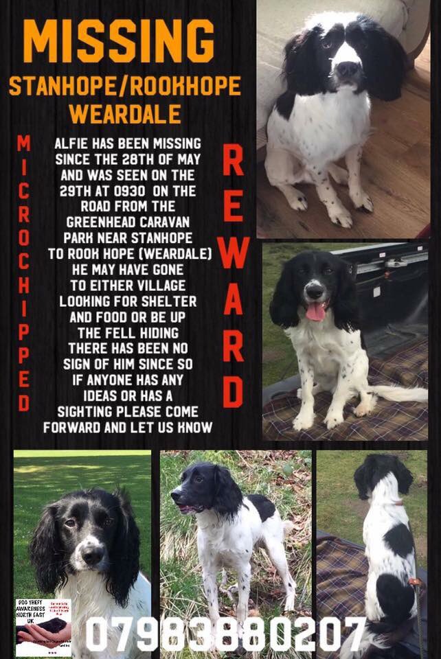 LisaLisaw1's tweet photo. #FindAlfie #Missing 28.05.17 #Stanhope #Rookhope #Weardale #CountyDurham Sightings this morning #Ruffside Hall & #Church in #Blanchland https://t.co/Tpi505UbYo