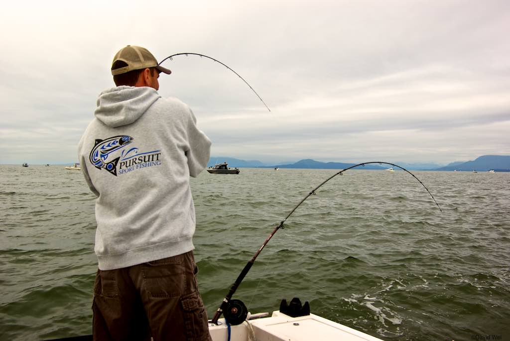 David Wei tweet media