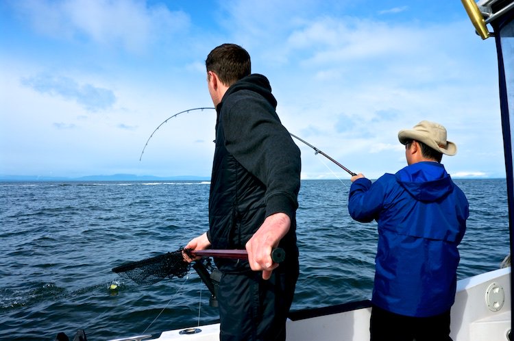 David Wei tweet media