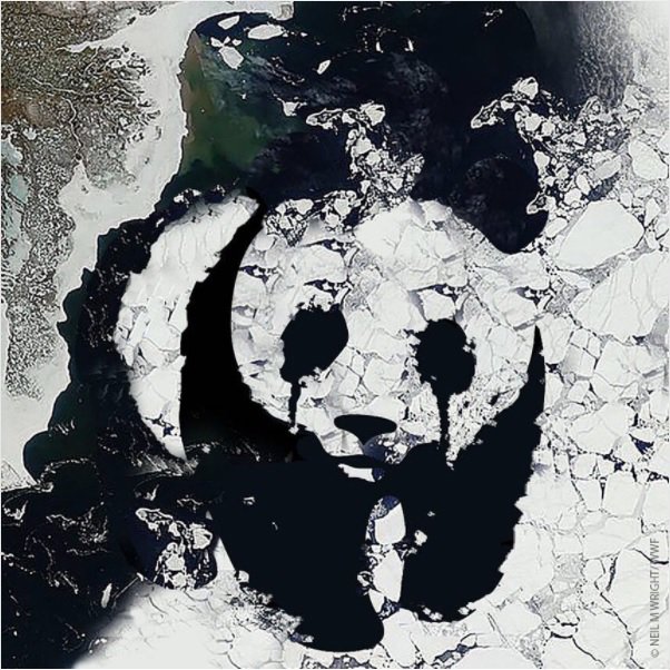 ABD Başkanı Donald Trump ülkesini Paris Anlaşması’ndan çekeceğini duyurdu ama bu iklim mücadelesini durduramaz => bit.ly/2rMLBxv