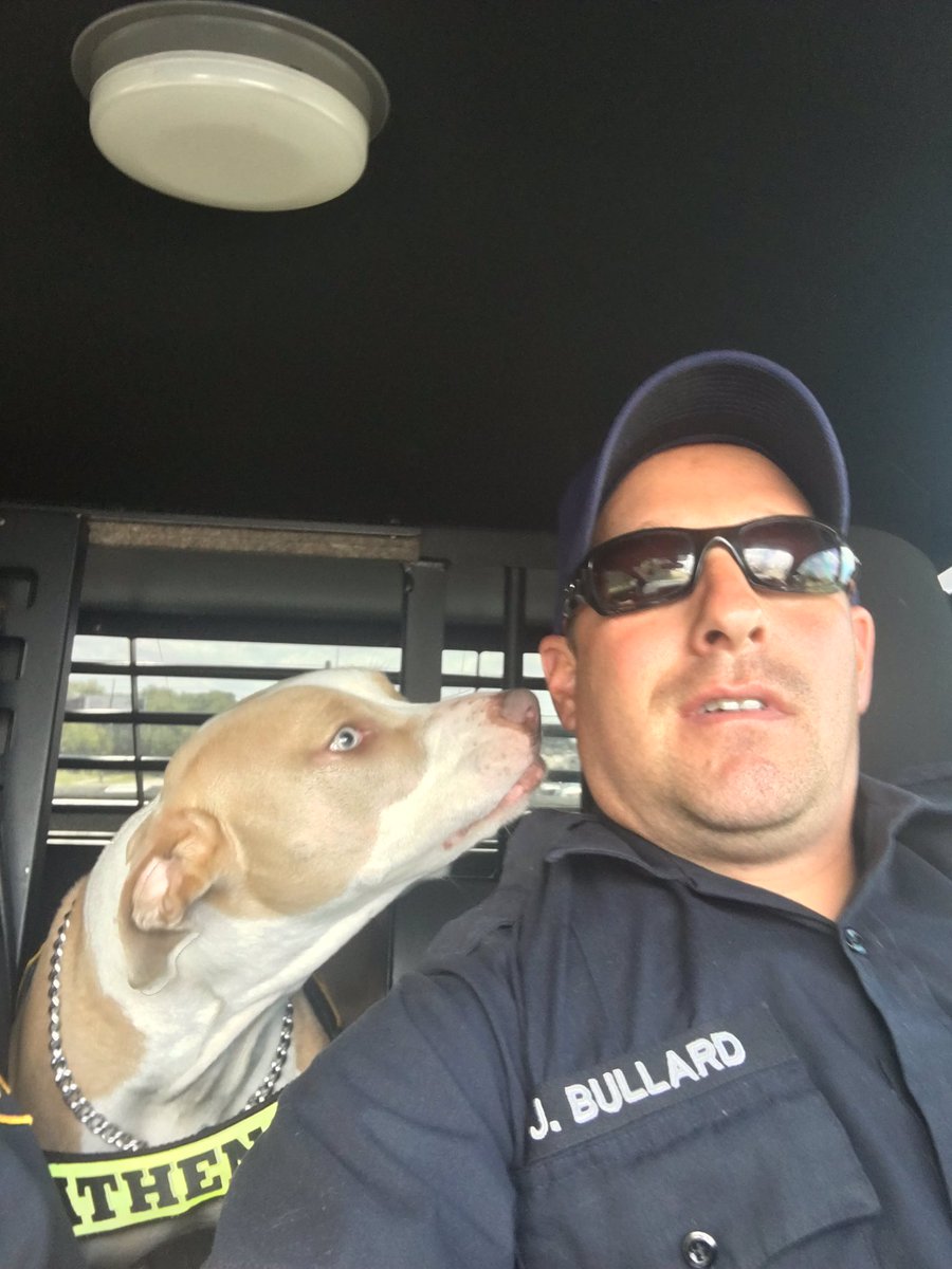 K9 Athena tweet media