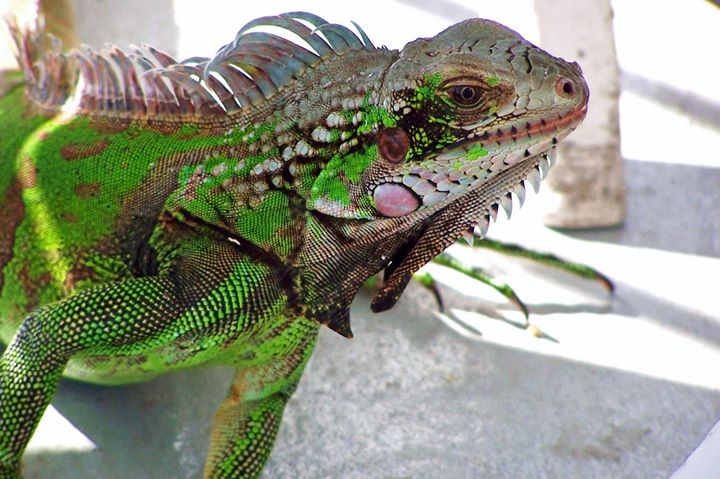 Don't forget to make vacation friends while you're here!!