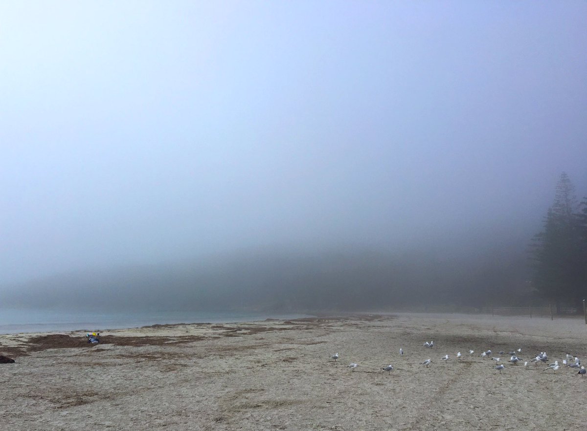 CovfefeSimple's tweet photo. As I look over the foggy land, I wonder when the quest for the Orb will continue... #FellowshipofCovfefe https://t.co/eJmNWAilnJ