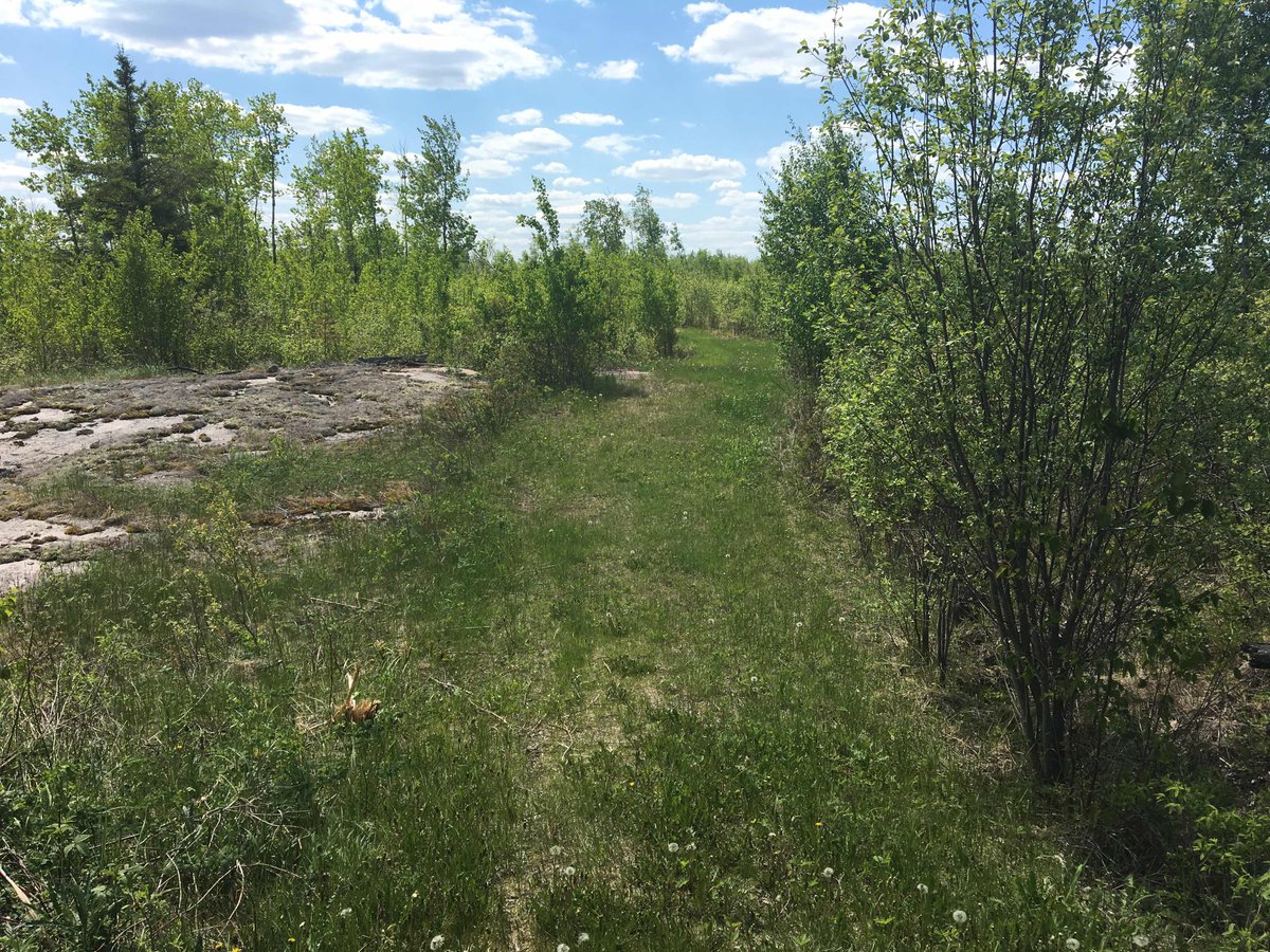 A couple images along the trail for the canada150ultra.com - between 58-75 miles.