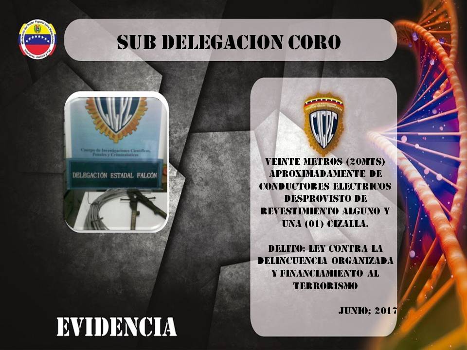 @sdcorocicpc APREHENDE INTEGRANTES DE LA BANDA "LOS ELECTRO ADOLESCENTES" POR DELITO  DE HURTO DE MATERIAL ESTRATÉGICO <a href="/cramirezCICPC/">Ramirez CICPC</a>