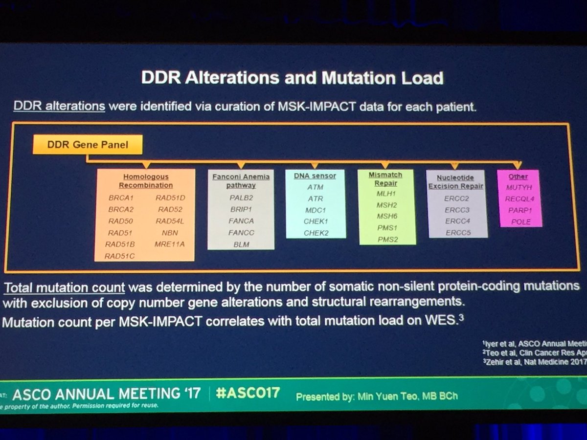 Select mutations considered to be defining DDR and mutational load in urothelial cancer #ASCO17