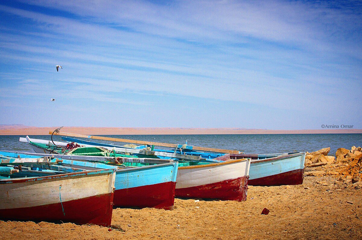 _aminaomar_'s tweet photo. By order.
#Egypt #Fayoum #ThisIsEgypt #Photooftheday #500px https://t.co/1EWe516RYA