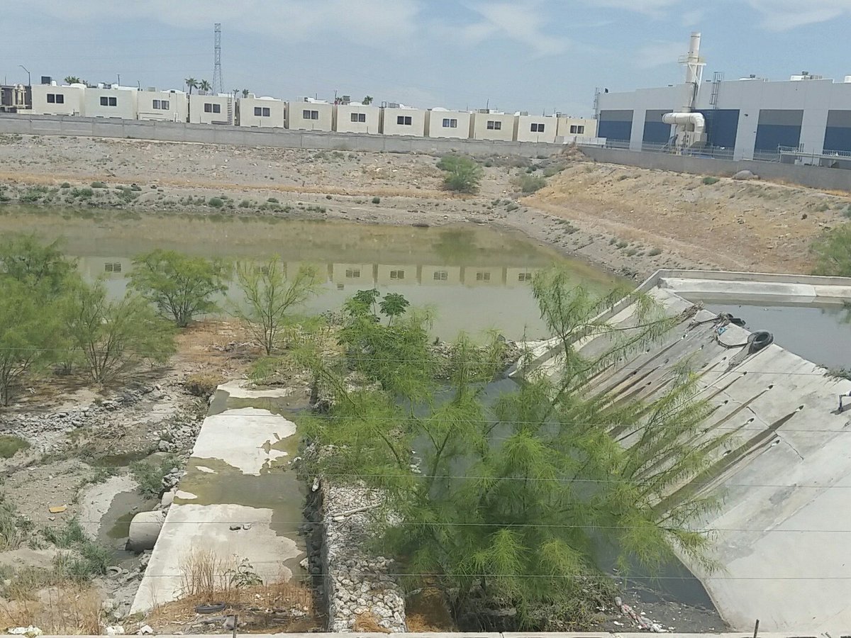 COscar79's tweet photo. @MunicipioJuarez Es agua que se estanca por meses lleno de basura,aguas negras  y criadero de animales es el que esta entre los dos fraccionamientos https://t.co/aFUUtS8UrD