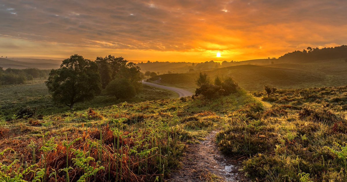 GilbertBrian2's tweet photo. 🌅#inspiration #travel #nature #PositiveVibes #britishweather #Angleterre #photo https://t.co/g3oc4XRUL4