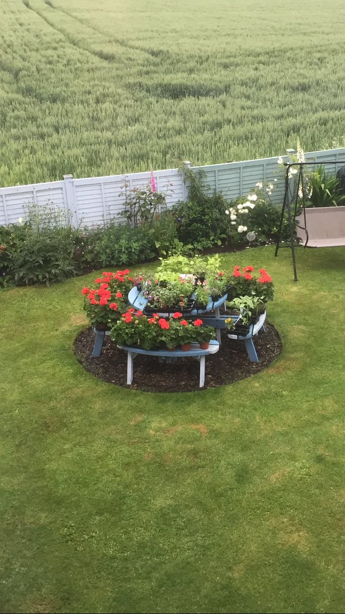 weedsgm's tweet photo. Potting https://t.co/n25RZ1y5jw