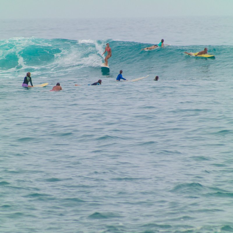 atlantishawaii's tweet image. Why did the surfer have a remote control? So he could change channels. 🤣🏄🏻 #AtlantisHawaii #Kona #oceanhumor #surfing #summer #vacation