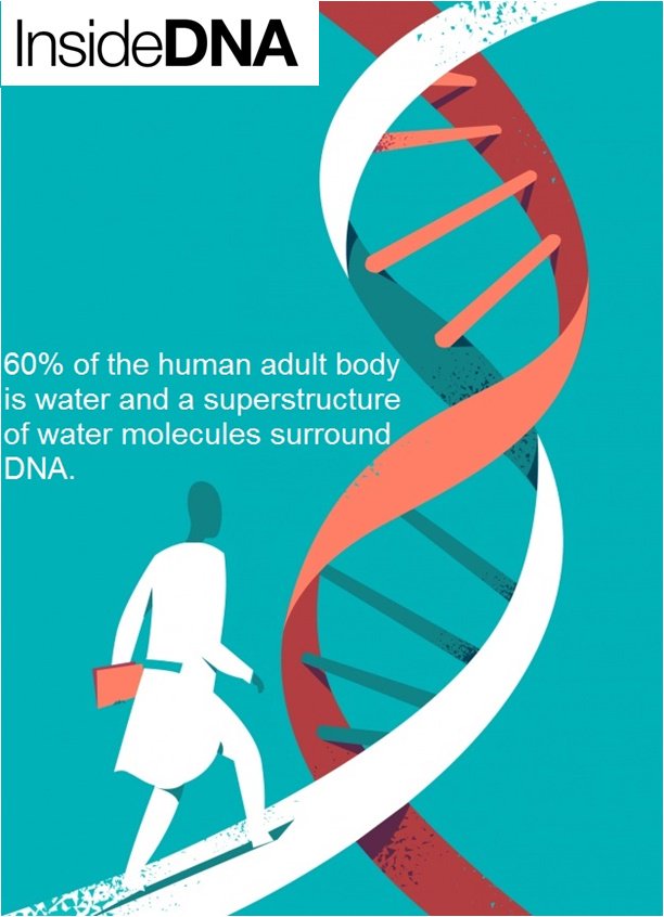 inside_dna's tweet photo. #Bioinformatics #Genomics https://t.co/UTGcntVdti https://t.co/m6g1FbYIFi