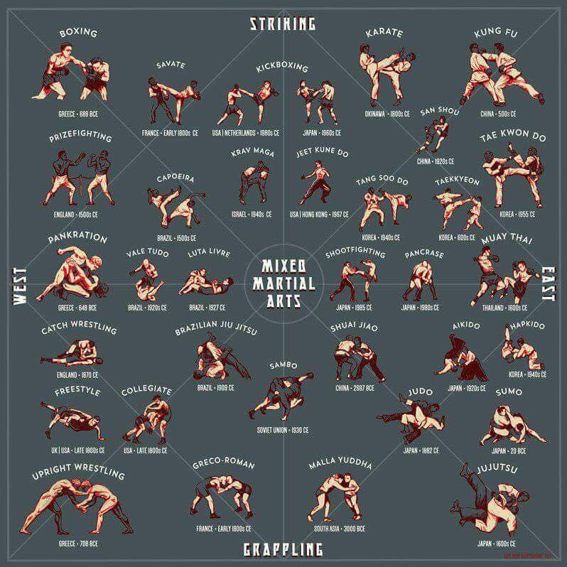 centuryma's tweet photo. Which different #martialarts do you train?
#MMA https://t.co/lZnf4cmEHs