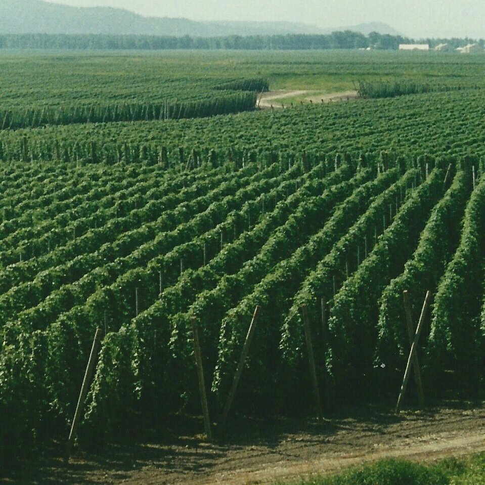 Akil White tweet media