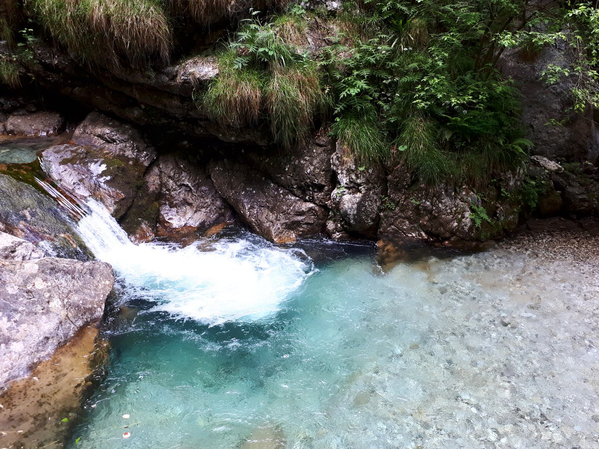 Daiche_partiamo's tweet photo. #trekking for kids @inLOMBARDIA. #valvertova #bergamo @VoceDelVerboPar @lemurinviaggio @warmcheaptrips @misazoe13 @Vieniviaconmetr https://t.co/YvwiyqFaly