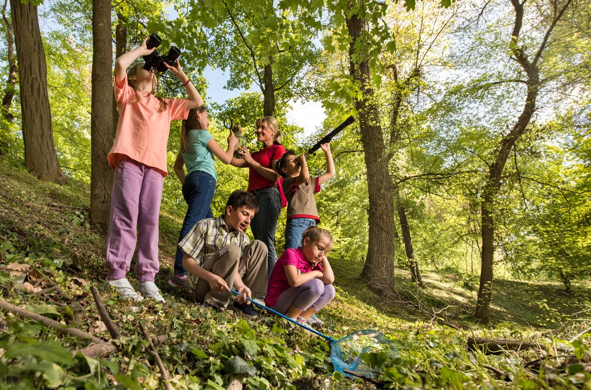 environmentca's tweet photo. Are you counting down to #WorldEnvironmentDay on Monday? Ready for the Get Outside Challenge? So are we! 😀 https://t.co/Bc6p6BCsdS https://t.co/t9s68pcKJg