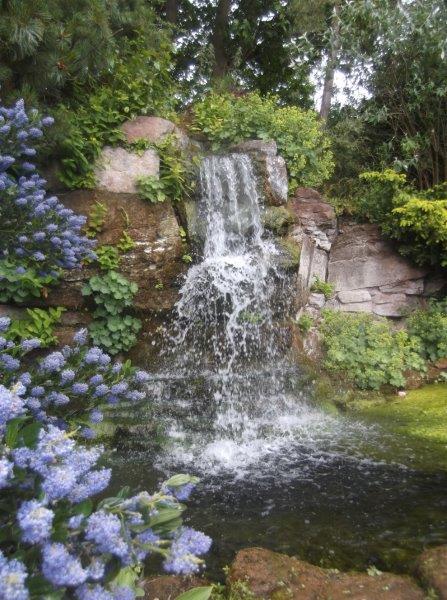 jcmh347's tweet photo. @GWmag #GW2for1 #nessbotanic https://t.co/0iCUuyFgFt