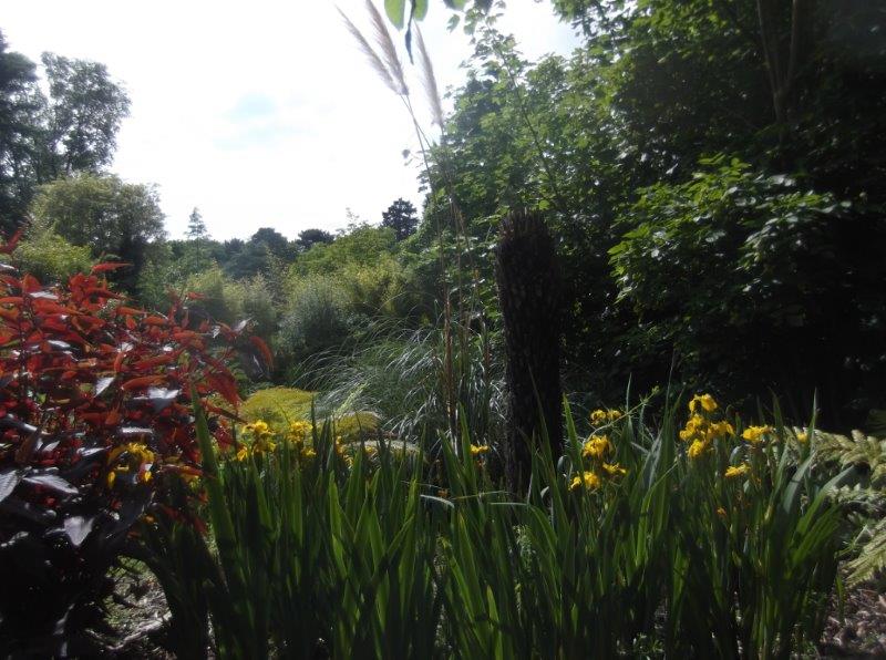 jcmh347's tweet photo. @GWmag #GW2for1 #nessbotanic https://t.co/0iCUuyFgFt
