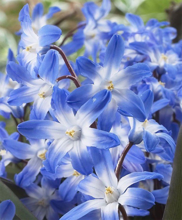 Nora1N_N's tweet photo. @MenAlyemen_ye @LatofaOb @clementgzsm @nevoghazal @zuk60 @N1S2qhhRaCHnXKG @nico_gaia @nt_wzd @bobbygreyone @MARIALUISAMAR5 @pat_be001 @symphonie85 @CivilizedEngr @dwauthyboehme @DreamKissyo @royca60 @aldry1061 @Abomoha31857833 @adriatic_sea_ @elsufuen @dazerac @ekenmehmetzeki @RojoLaDama @FeryChintec @pouramours @marizulca @arwaq10 @hussain_deborah @MariaLima369 @henrirouen @Abumoha14473310 @InderMendiratta @dilruba_lees  https://t.co/dXqQRwGr1J