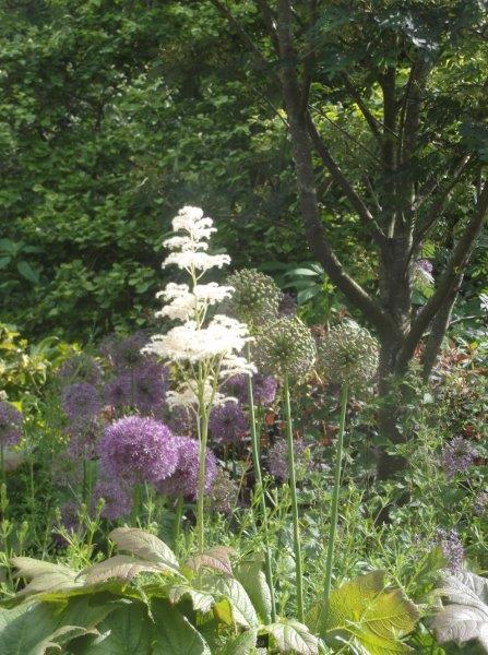 jcmh347's tweet photo. @GWmag #GW2for1 #nessbotanic https://t.co/uqm2hDBUQo