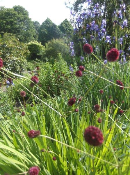 jcmh347's tweet photo. @GWmag #GW2for1 #nessbotanic https://t.co/uqm2hDBUQo