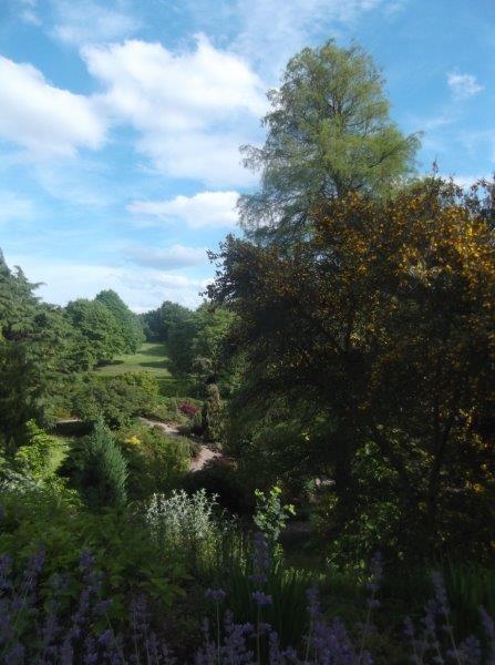jcmh347's tweet photo. @GWmag #GW2for1 #nessbotanic https://t.co/uqm2hDBUQo