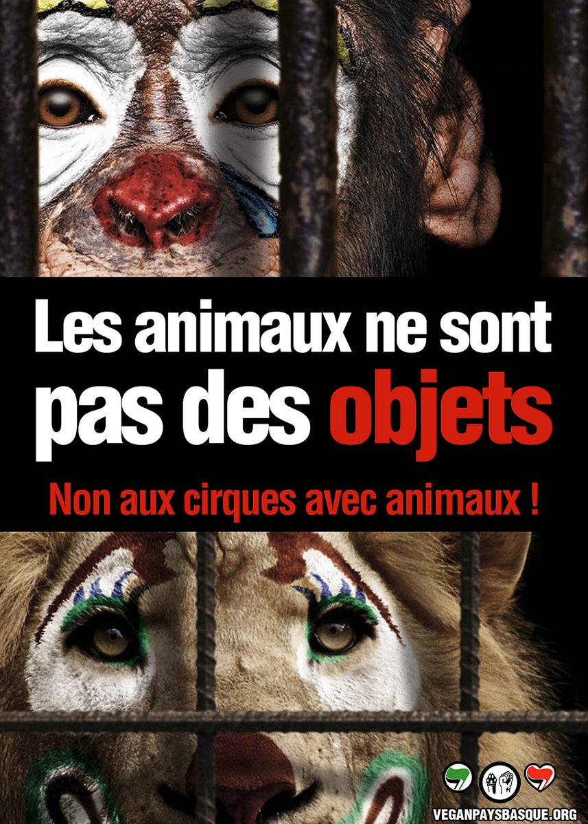 _Naeray's tweet photo. On Retweet les tweet avec le #NonAuxCirquesAvecAnimaux dès maintenant, tweetez en masse et partagez le hashtag le plus possible ! https://t.co/dkoV1Tk2k9