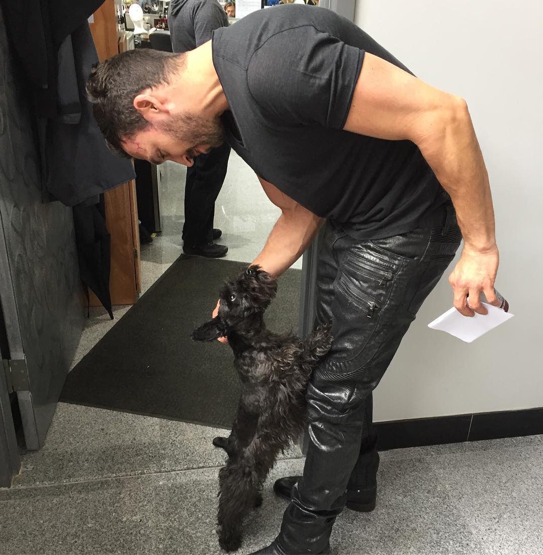 Small dogs also at work. <a href="/TheTickTV/">The Tick</a> #TheTick #parkerthedog #waxeddenim #tightpants
