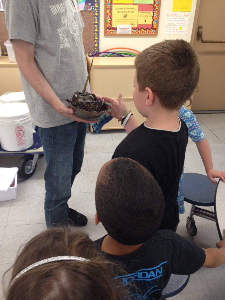 MrsCallahanDT's tweet photo. Thank you to Joel from @biomescenter for today's Kindergarten enrichment program! #dtdaily @DT_Bobcats https://t.co/6469j1bUXH