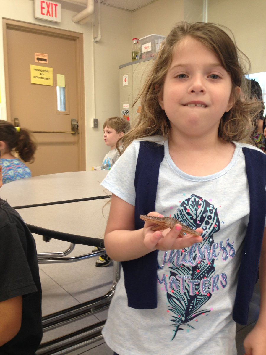 MrsCallahanDT's tweet photo. Thank you to Joel from @biomescenter for today's Kindergarten enrichment program! #dtdaily @DT_Bobcats https://t.co/6469j1bUXH