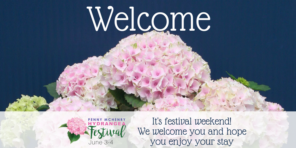 HydrangeaFEST's tweet photo. It's finally #HydrangeaFest weekend! We welcome you to #DouglasvilleGA and hope you enjoy your stay! https://t.co/26i3qHeTlP https://t.co/4JpiFJ5z17