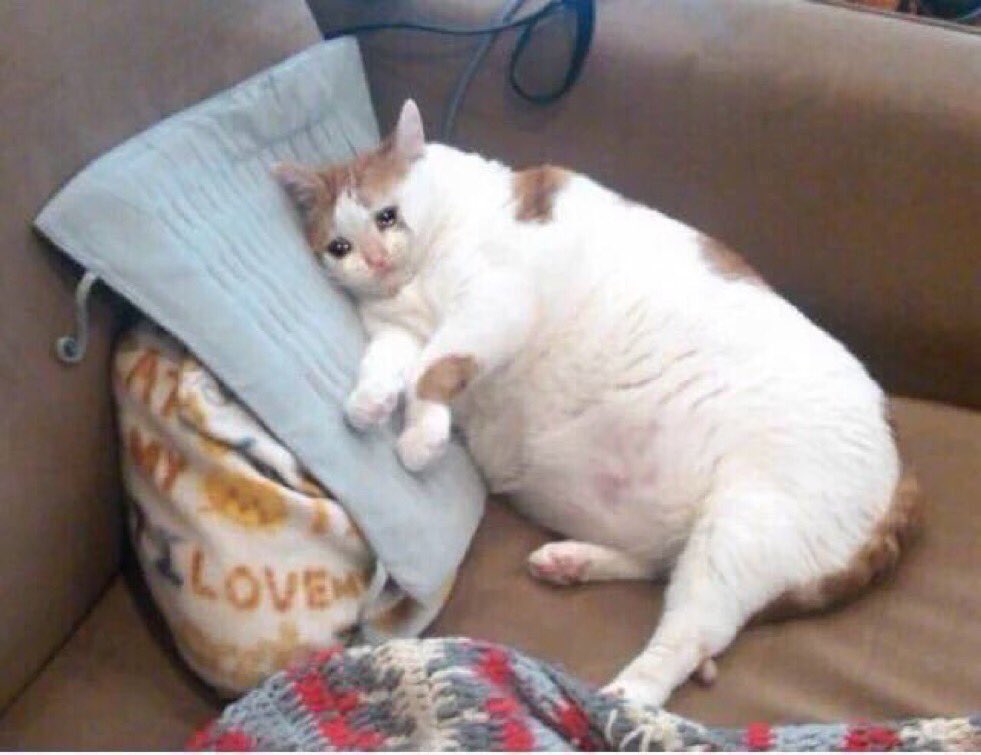 seerofIight's tweet photo. watching all the seniors saying goodbye to the teachers bc they graduated knowing i should be graduating w them but have to do another year https://t.co/6t26Od0kdZ