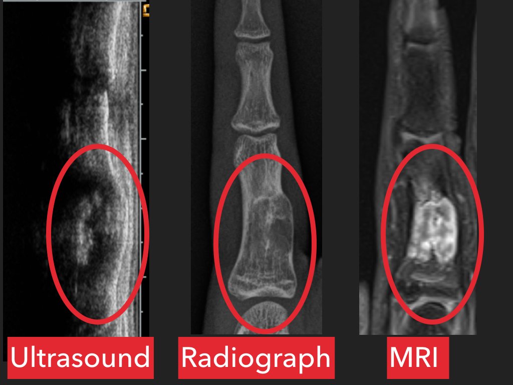ARAImaging's tweet photo. Summer sports are in full swing & so is an increase in #mobilejoint injuries. Dr. Dale shares how ARA can help. https://t.co/MMdYFbs35m https://t.co/wua3VMPBjJ