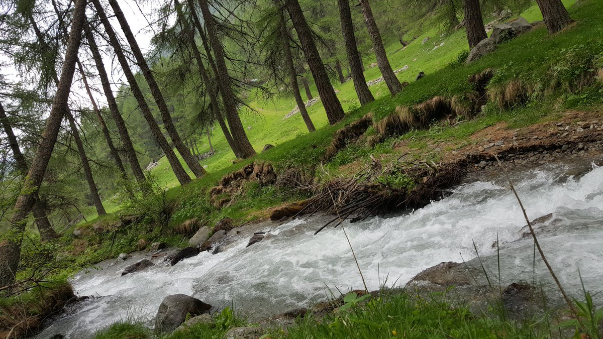 xpamec's tweet photo. Scorci di #montagna #inLombardia #Valcamonica @ParcoAdamello https://t.co/eS06yODAYL