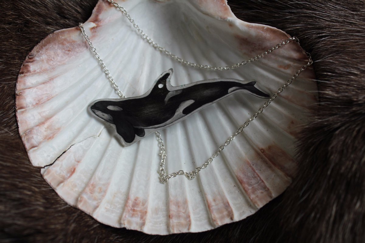 PearlOfThunder's tweet photo. Im selling some more illustrated seashell necklaces on my Etsy shop including an handmade orca necklace! 

https://t.co/kOyiHpIWiw https://t.co/XD4ZTiO6vM