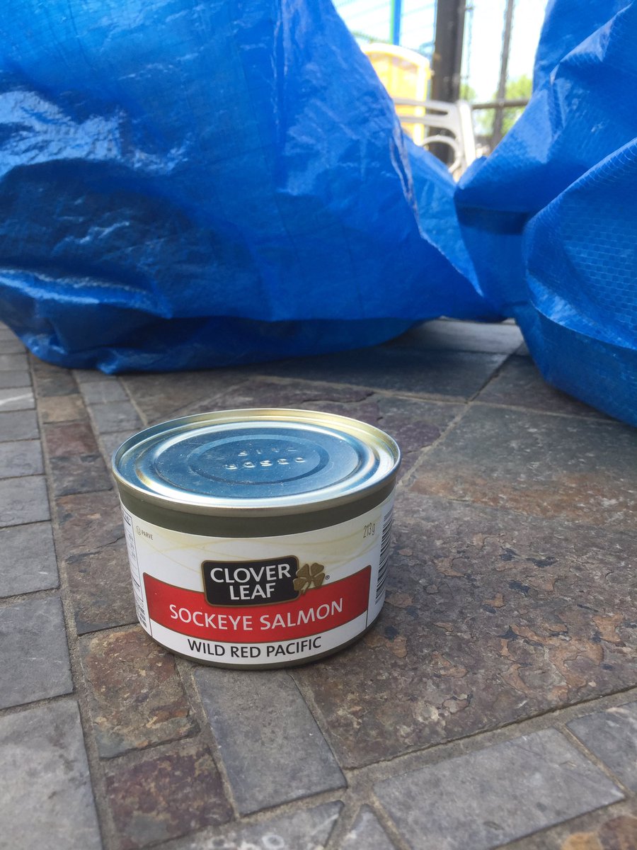 Tin of salmon from the food bank for supper but no can opener! #sanctumsurvivorYXE