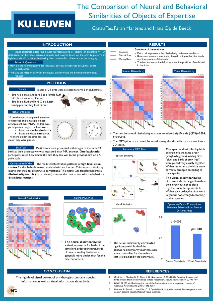 BiolPsychol's tweet photo. Very proud of @S_Duyck of our lab who received best poster award at #BAPS2017 for her work on #NumberProcessing in #Dyscalculia, congrats!!! https://t.co/47KM9UgP9u