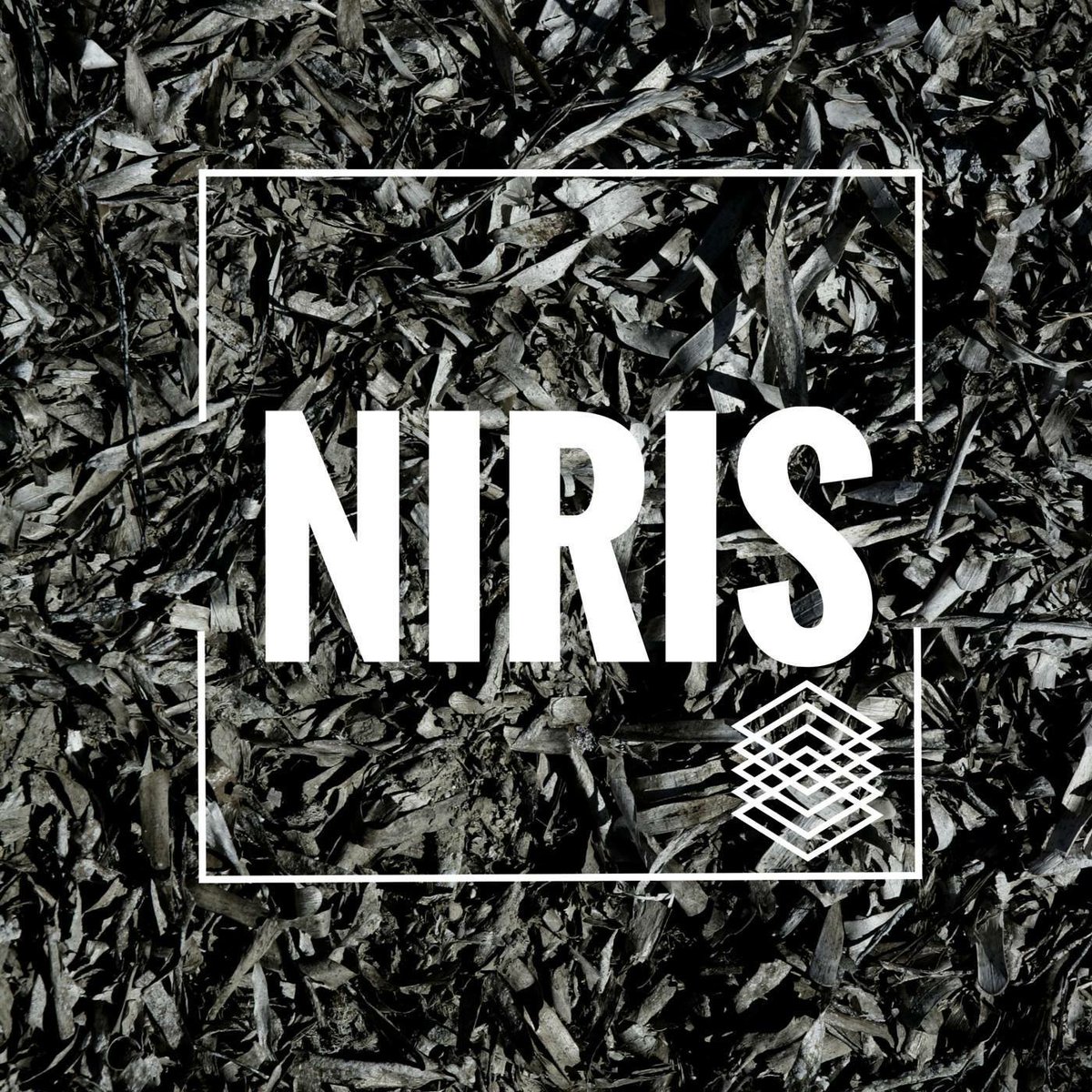 atlas_festival's tweet photo. Amazing duo @NirisMusic confirmed to play #jazz and #ambientelectro in our #larooftopclub! Join them for cool #summervibes and #cocktails 🍸🍸 https://t.co/RgdsBeooll