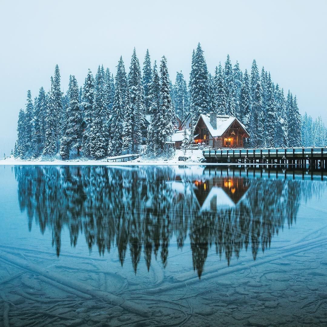 Lonely_Planett's tweet photo. Emerald Lake, Yoho National Park, British Columbia, Canada https://t.co/PgN3k264kG