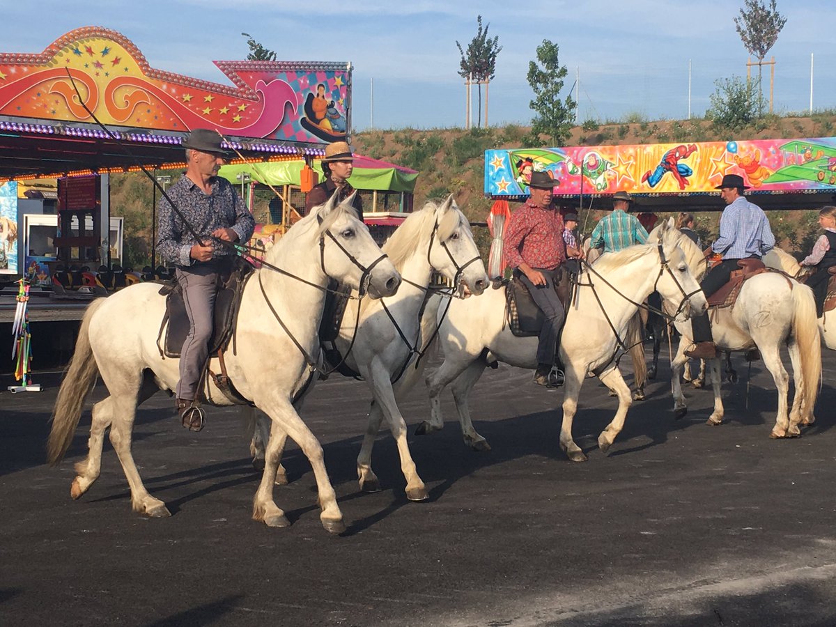 GVZD's tweet photo. À #StAunes pour la fête votive avec l'inauguration de espace #Bessede et une magnifique Roussataïre #LaCamargue est belle #Circo3409. https://t.co/mRcJGBFXod