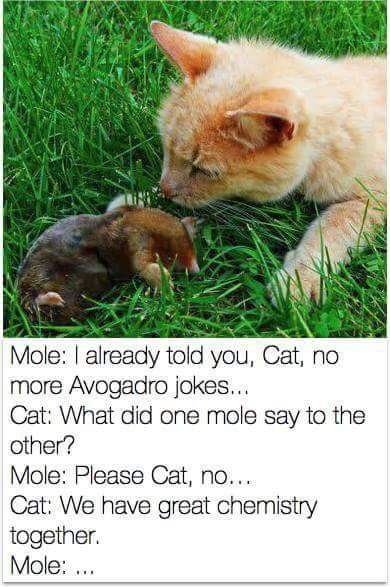 TakeThatChem's tweet photo. Friday night lightness. #chemgeek https://t.co/Cru2HAjp7L