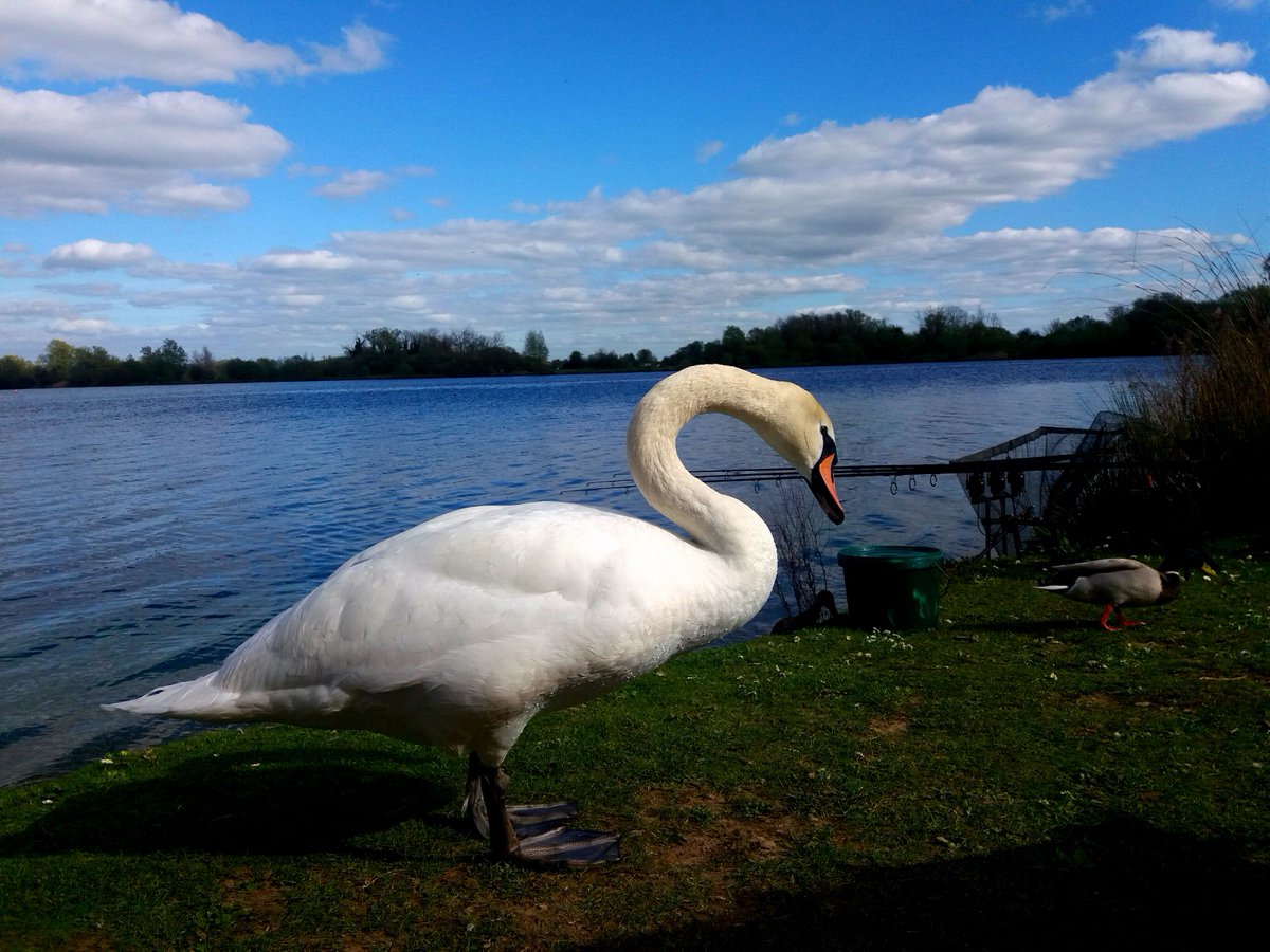 first taken march 2017 second april standing guard on both occasions