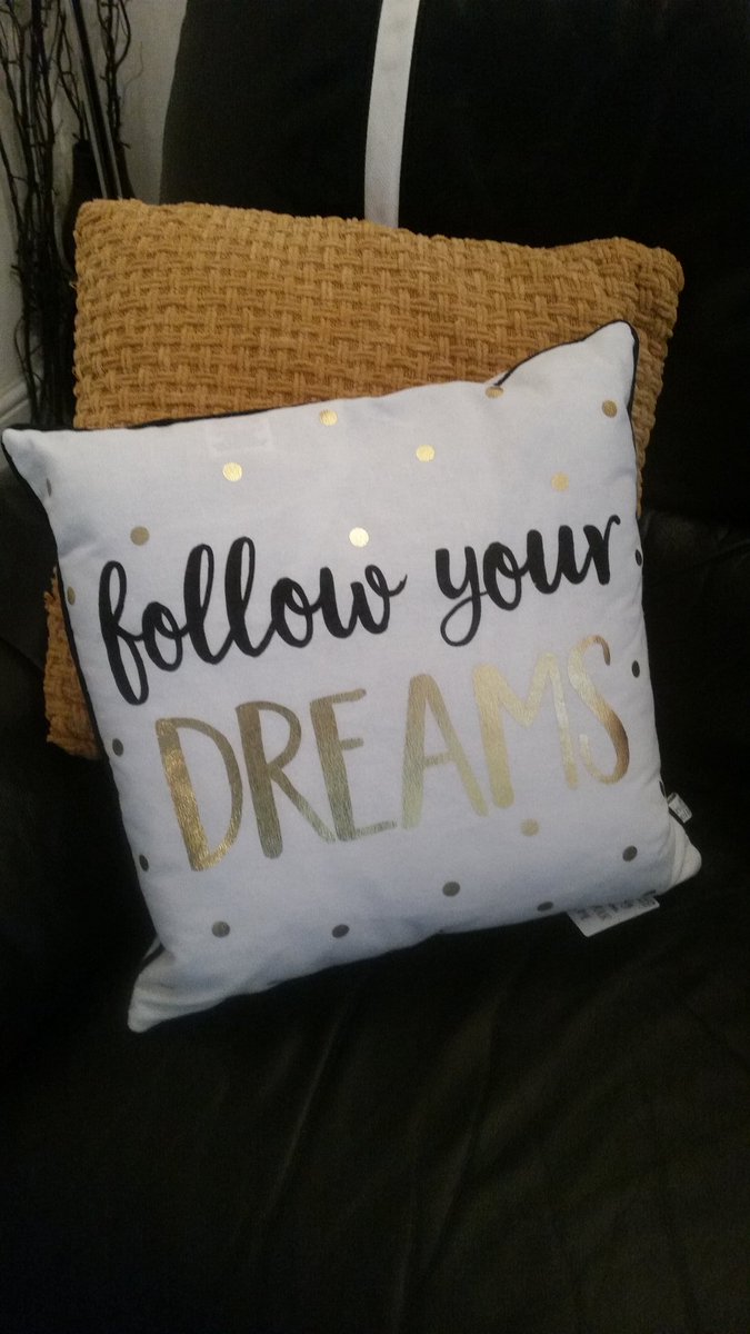 chrisbryce15's tweet photo. If you have a dream...just follow it #pinkflamingowales DM to order quote cushion,only £10 #interiorsandgifts #newwebsite #homeaccessories https://t.co/tQvTS0ga8q