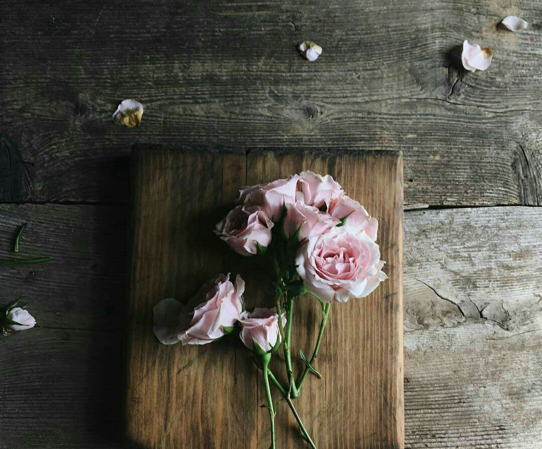 ↓❃
❥ ˓٭˛
  ˓٭˛✿❈
.
.

♪

على أرجوحة الزمن 
تعيش الأمنيات بين أفق الأمل ؛ وقاع الألم 
فـ ادفعوها ..بـ التفاؤل .. والدعاء .

.
.
.
.
˓٭˛✿❈